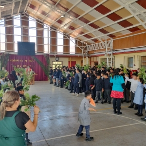 Celebración Domingo de Ramos